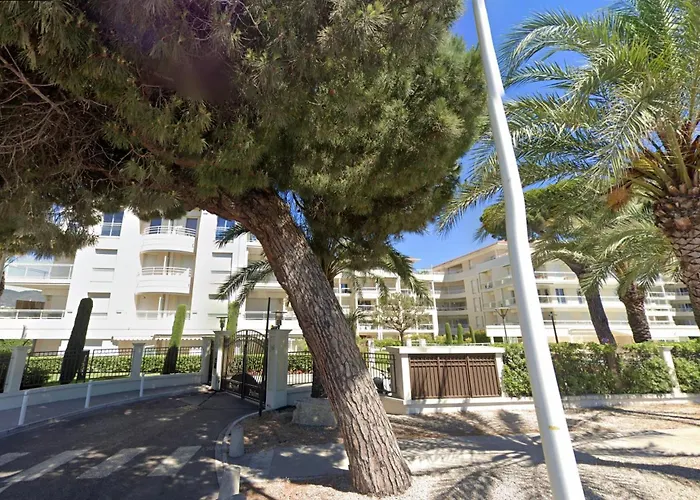 Palme Royale By Scls Locations